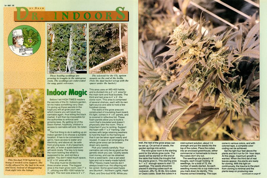 Indoor Magic