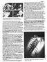 Page: - 35 | High Times