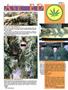 Page: - 55 | High Times