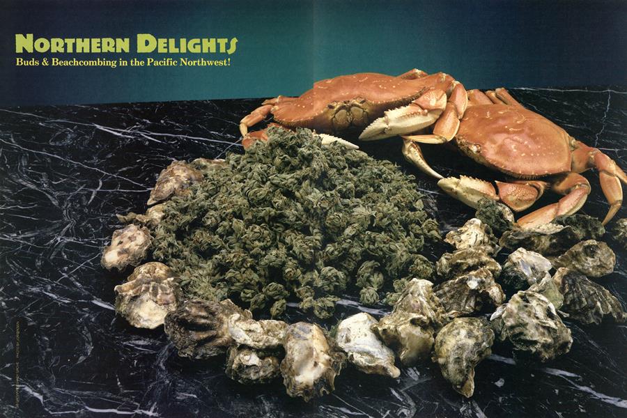 NOTHERN DELIGHTS