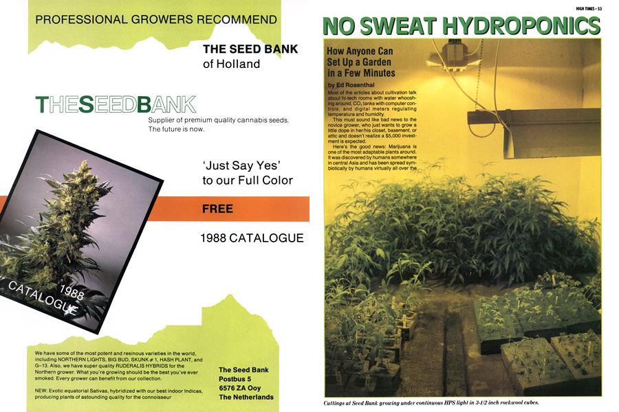 NO SWEAT HYDROPONICS