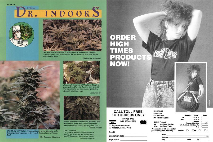 DR. INDOORS