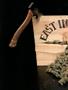 Page: - 50 | High Times