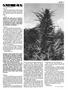 Page: - 75 | High Times
