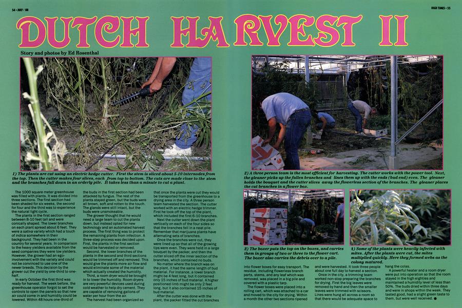 DUTCH HARVEST II