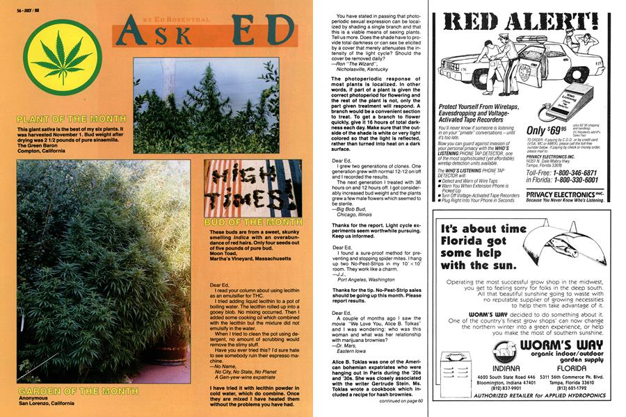 ASK ED