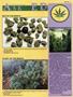 Page: - 53 | High Times