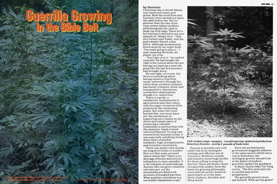 Guerrilla Growing in the Bible Belt