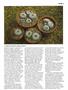 Page: - 37 | High Times