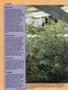 Page: - 46 | High Times