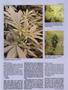Page: - 55 | High Times