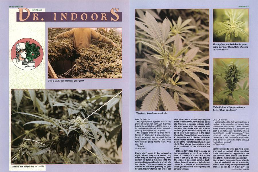DR. INDOORS