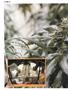 Page: - 46 | High Times