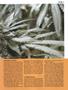 Page: - 47 | High Times