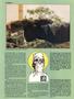 Page: - 48 | High Times