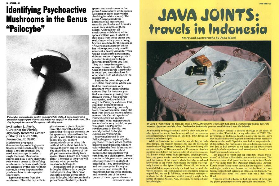 JAVA JOINTS: travels in Indonesia