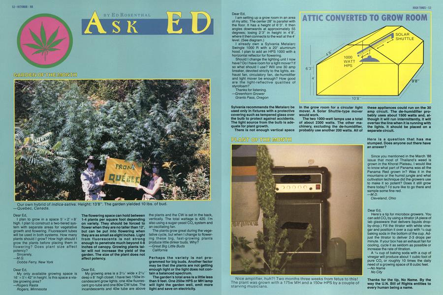 ASK ED