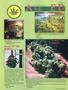 Page: - 49 | High Times