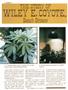 Page: - 52 | High Times