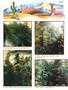 Page: - 53 | High Times
