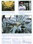 Page: - 55 | High Times