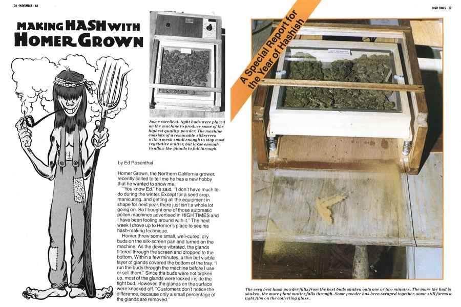 MAKING HASH WITH HOMER GROWN