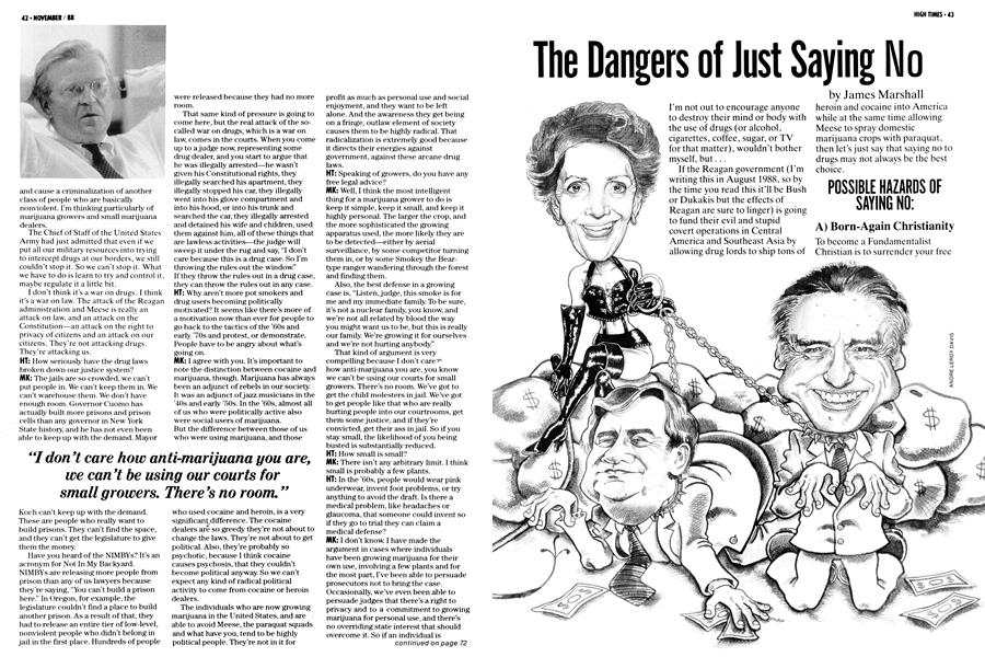 The Dangers of Just Saying No