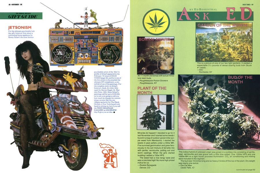 ASK ED