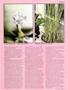 Page: - 39 | High Times