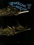 Page: - 51 | High Times