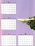 Page: - 52A | High Times