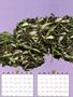 Page: - 52B | High Times