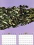 Page: - 52C | High Times