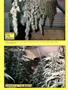 Page: - 53 | High Times