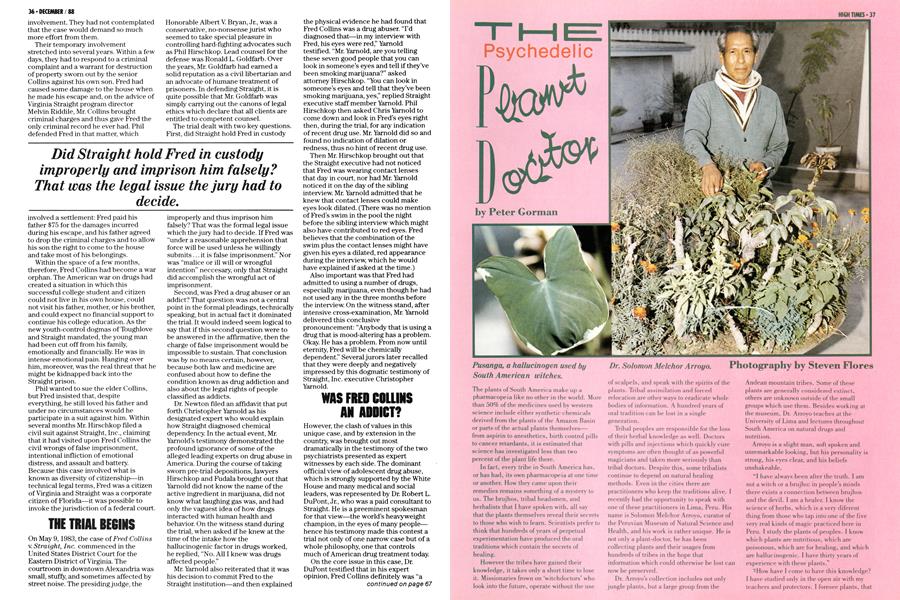 THE Psychedelic Plant Doctor
