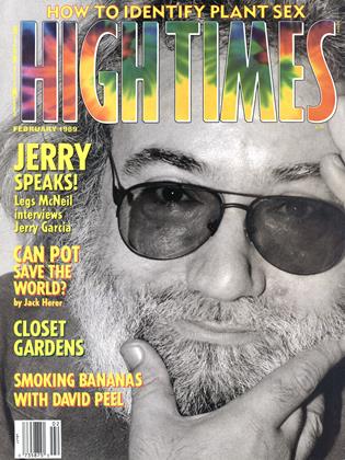 FEBRUARY 1989 | High Times