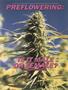 Page: - 45 | High Times