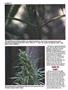 Page: - 48 | High Times