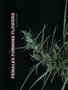 Page: - 50 | High Times