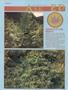Page: - 52 | High Times