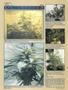 Page: - 54 | High Times