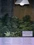 Page: - 39 | High Times