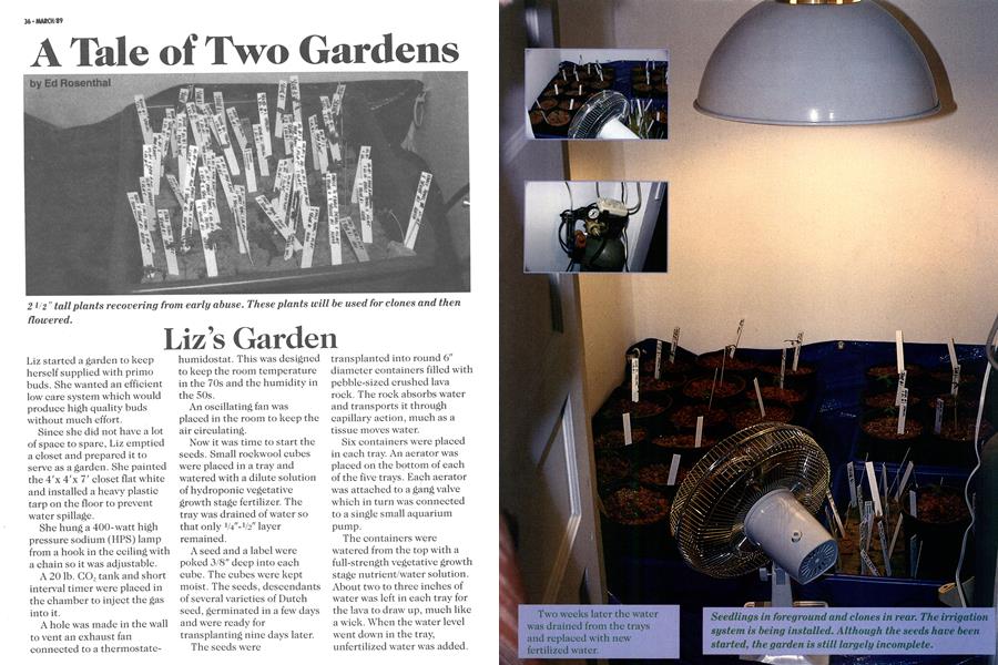 A Tale of Two Gardens