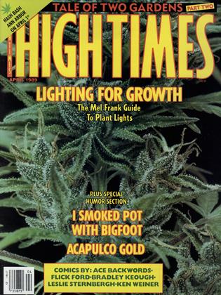 APRIL 1989 | High Times