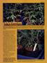 Page: - 47 | High Times