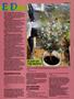 Page: - 53 | High Times