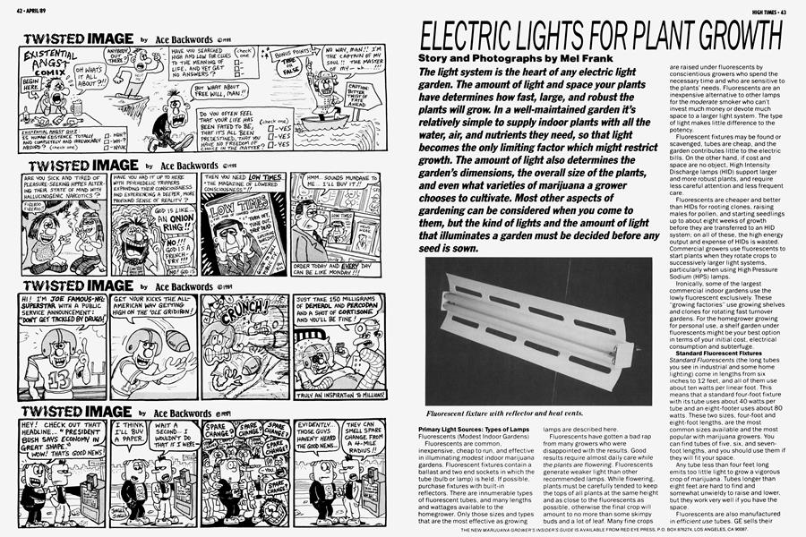 ELECTRIC LIGHTS FOR PLANT GROWTH