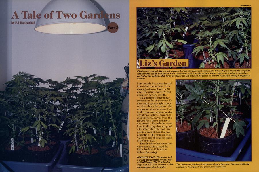 A Tale of Two Gardens Part 2