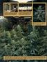 Page: - 49 | High Times