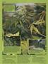Page: - 54 | High Times